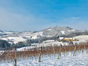 Plački stolp pozimi